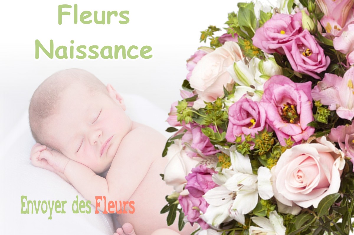 lIVRAISON FLEURS NAISSANCE à EMPEAUX